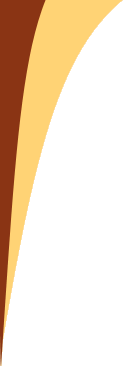 virusion